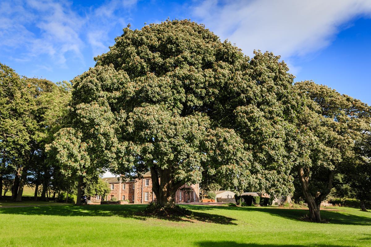 Lunan House Arbroath Dış mekan fotoğraf